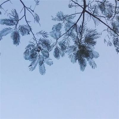 兔宝宝早餐店免费版下载